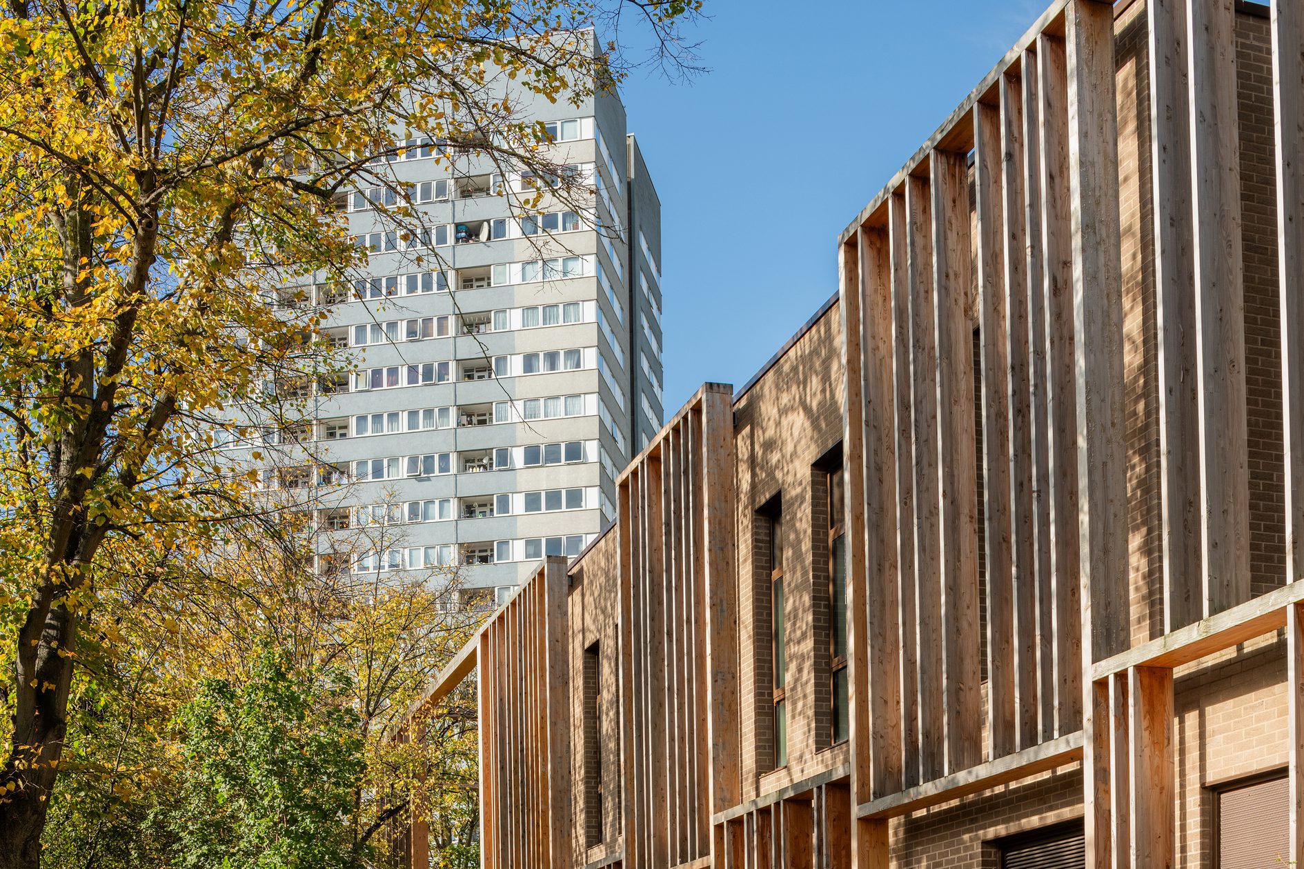 AHR Mixed Use Abbey Area Community Hub Architecture Camden Wood cladding 4