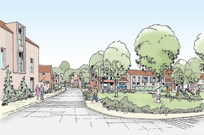 Northern square coloured