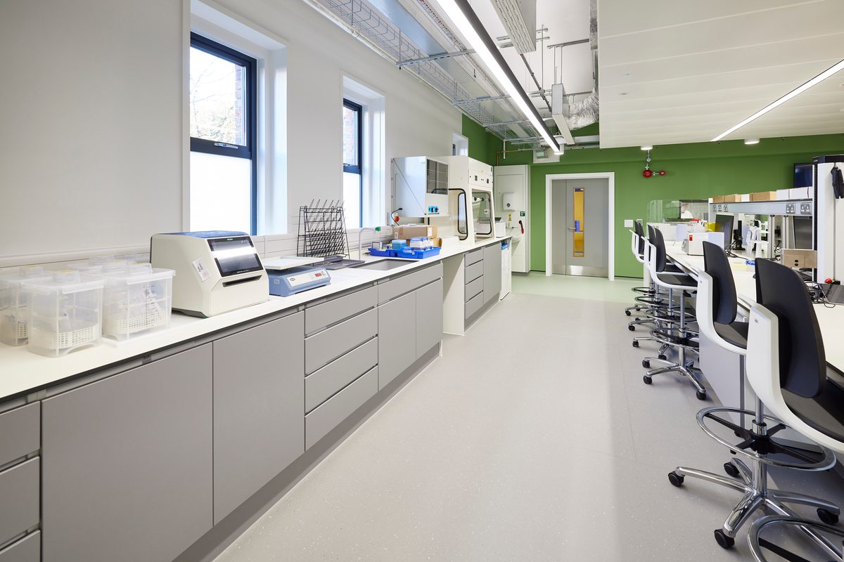 A row of desks with windows in the background bringing plenty of light into the space.