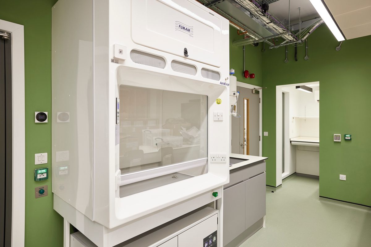 The specialist space inside the laboratory surrounded by colourful green walls.