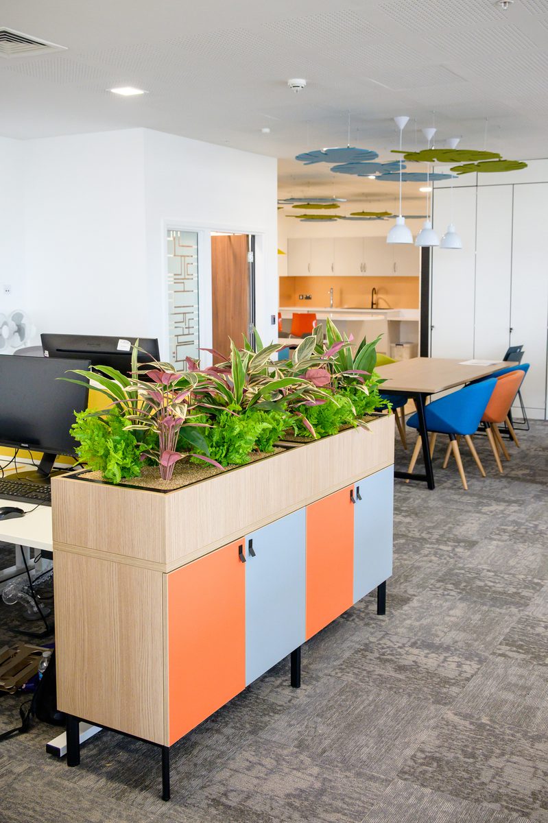 part of the bright, open plan Children and Family Court Advisory and Support Service office, with planting and colourful furniture and fixtures.