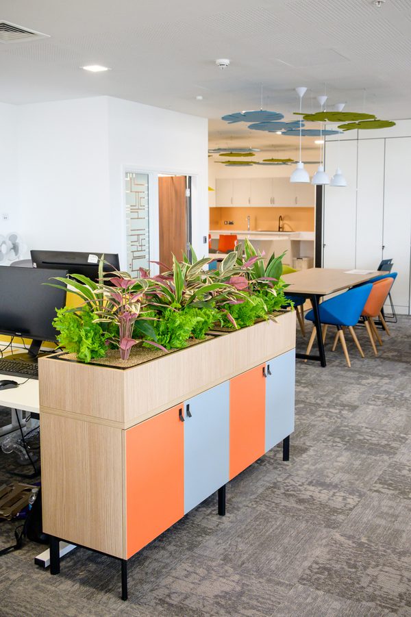 part of the bright, open plan Children and Family Court Advisory and Support Service office, with planting and colourful furniture and fixtures.