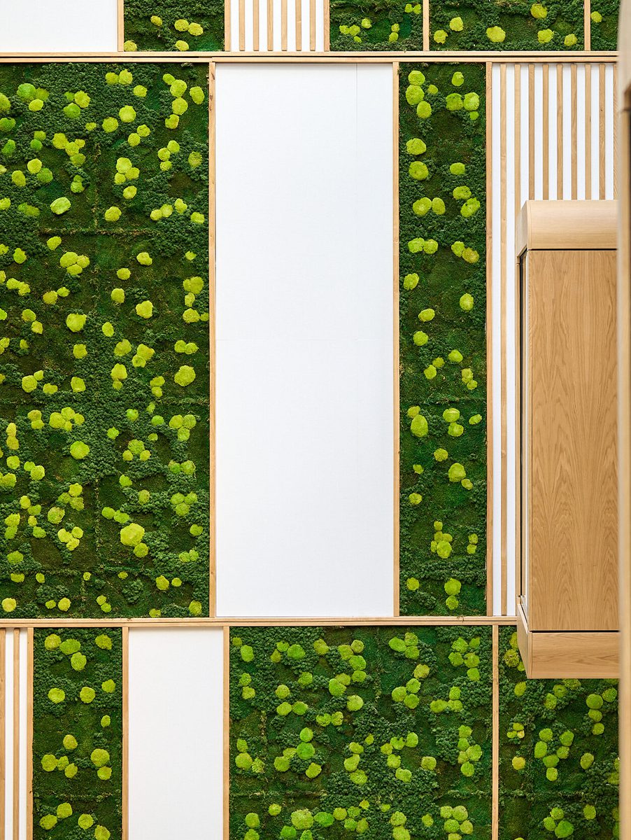 An internal shot of the moss wall inside the Daphne Steele Building's atrium, showing its biophilic design.