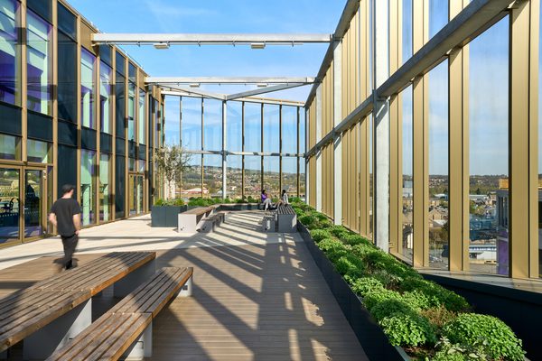 Sky terrace with landscaped outdoor seating and campus views at the Daphne Steele Building.