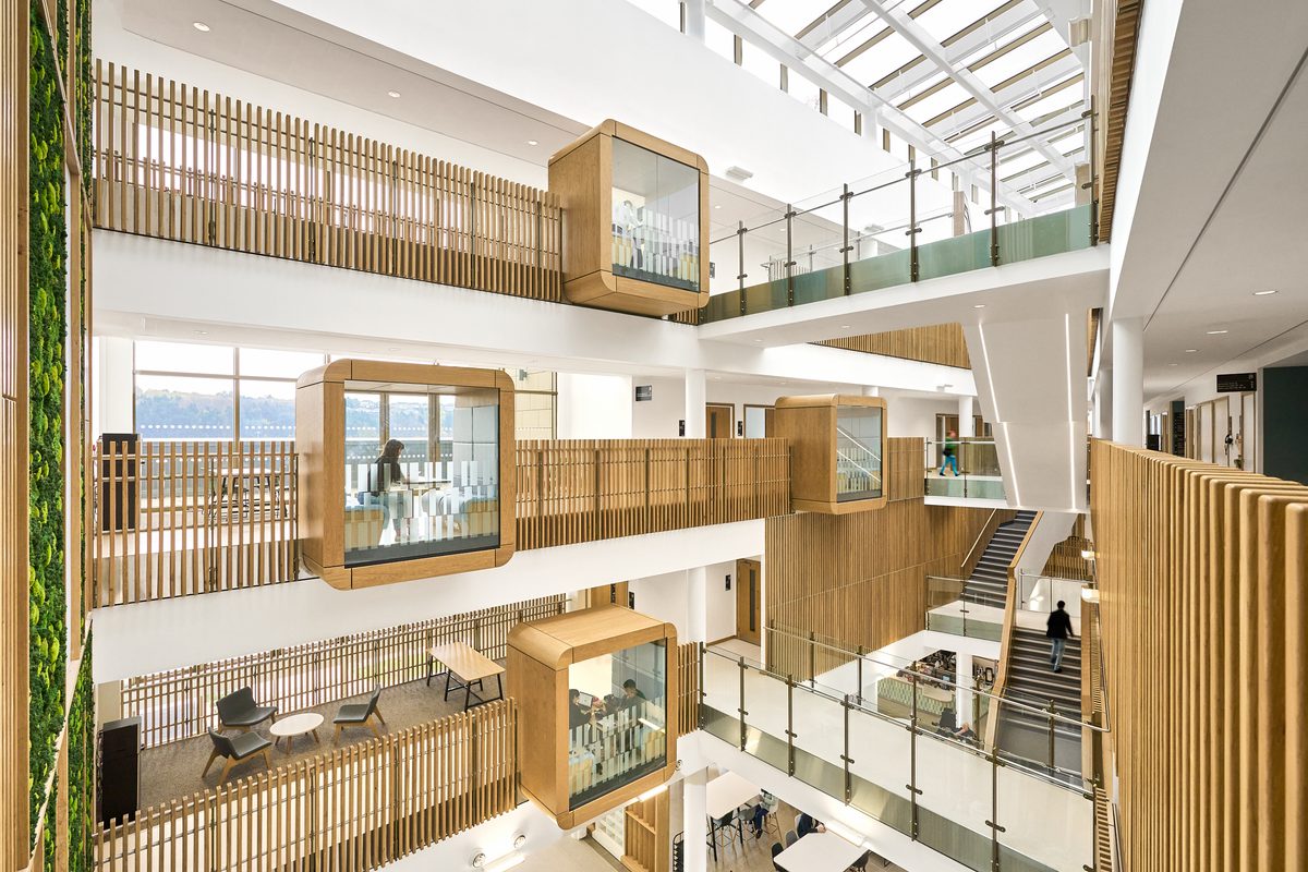 Interior of the multi-level atrium at the Daphne Steele Building featuring collaborative spaces, biophilic planting, timber finishes and skylights enhancing natural light.