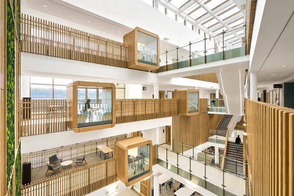 Interior of the multi-level atrium at the Daphne Steele Building featuring collaborative spaces, biophilic planting, timber finishes and skylights enhancing natural light.