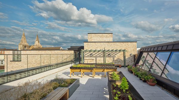 A wide exterior shot of the landscaped rooftop gardens of the greenwood centre on a bright, sunny day.