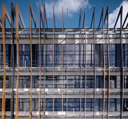 AHR secondaryschool HollandPark Architecture London 159