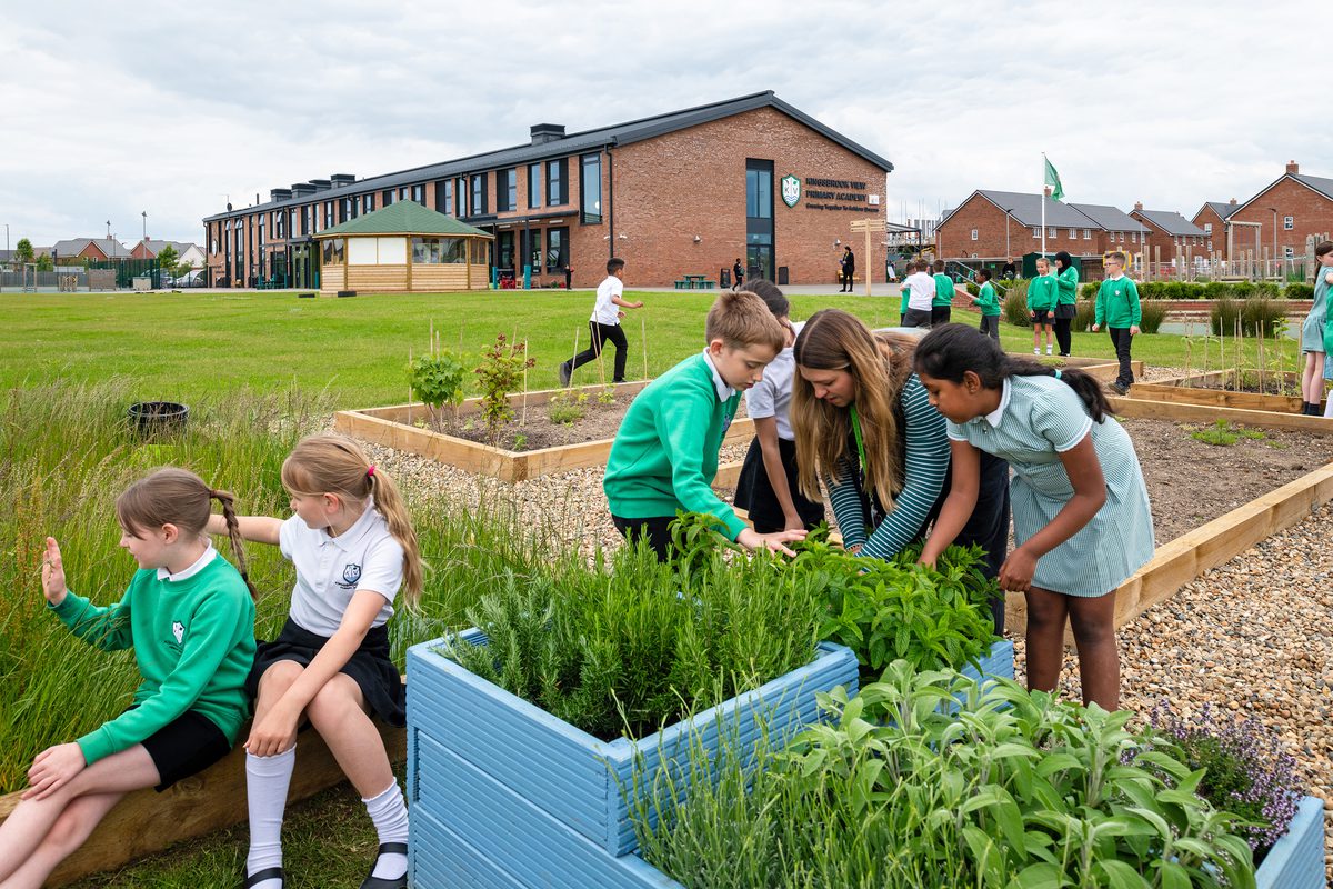Children using the planted raised beds, in front of the lawn and green spaces surrounding Kingsbrook View Primary Academy in the background.