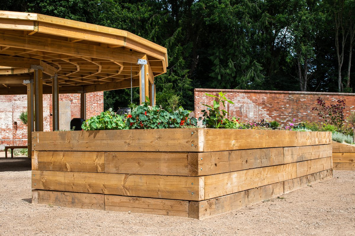 A large planter providing a variety of species inside the University of Reading's nature park and learning garden.