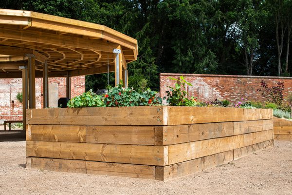 A large planter providing a variety of species inside the University of Reading's nature park and learning garden.