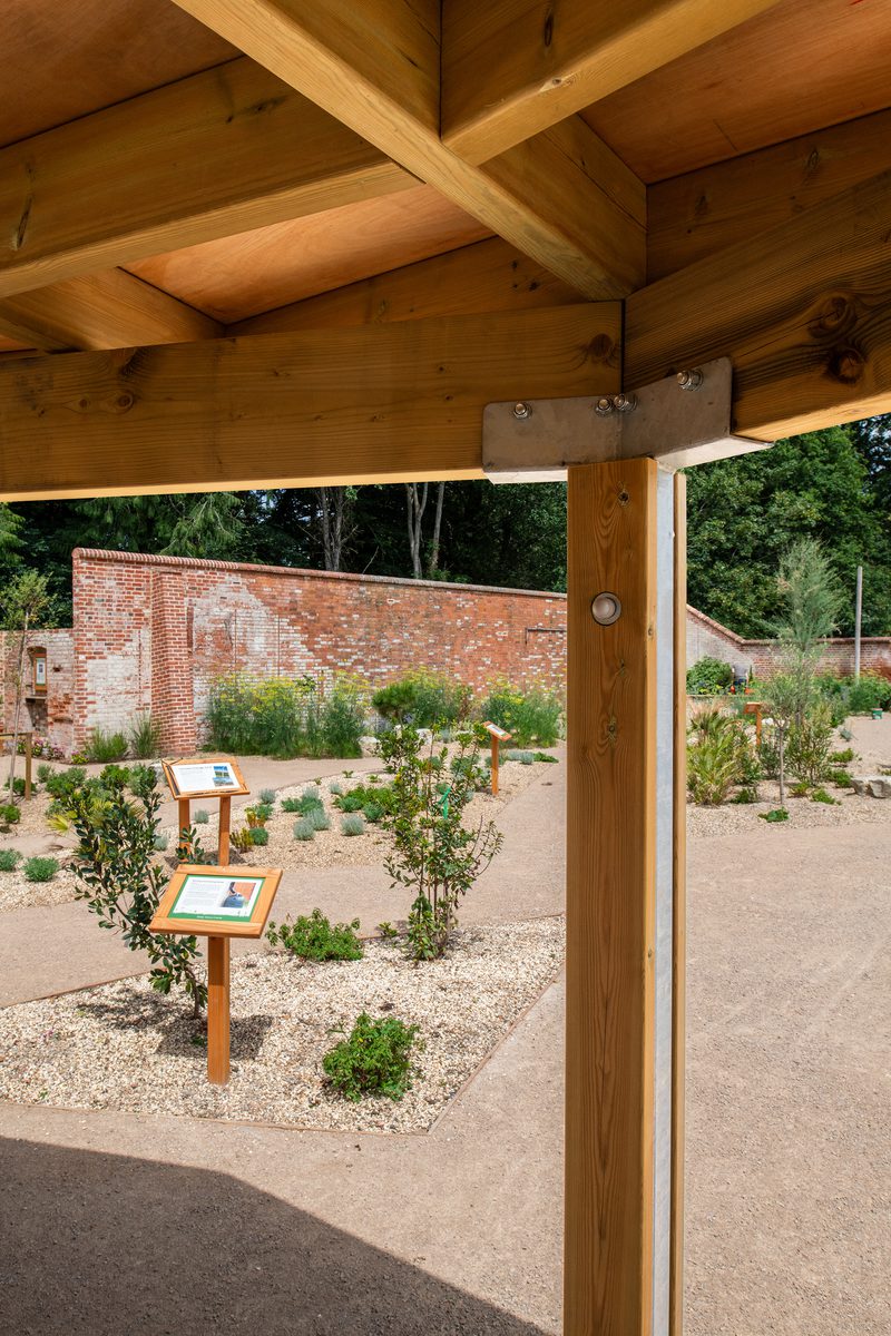 Views out across the nature park and learning garden at the University of Reading from underneath the wooden canopy surrounded by plants.