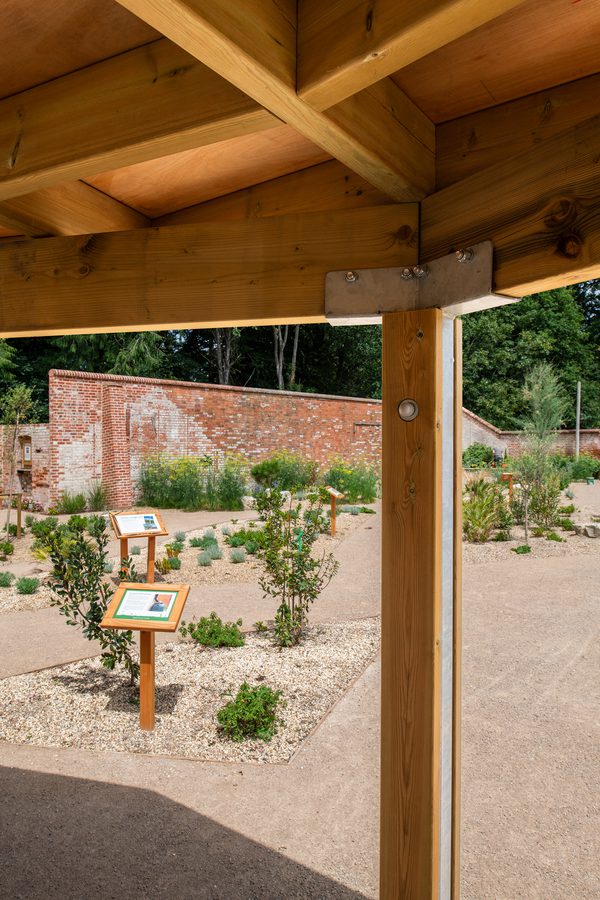 Views out across the nature park and learning garden at the University of Reading from underneath the wooden canopy surrounded by plants.