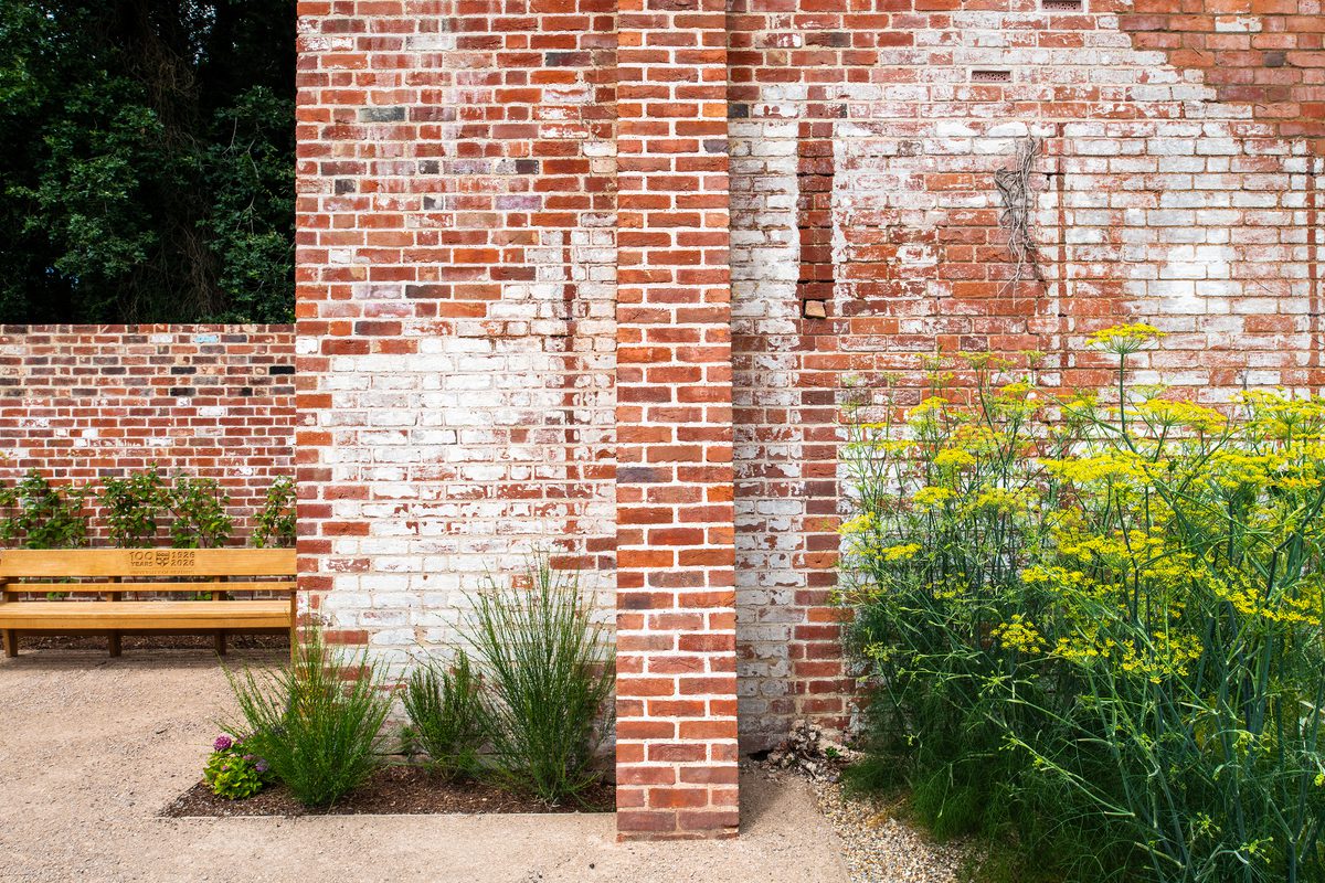 A brick wall inside the nature park and learning garden at the University of Reading, with plants and shrubs in the foreground.
