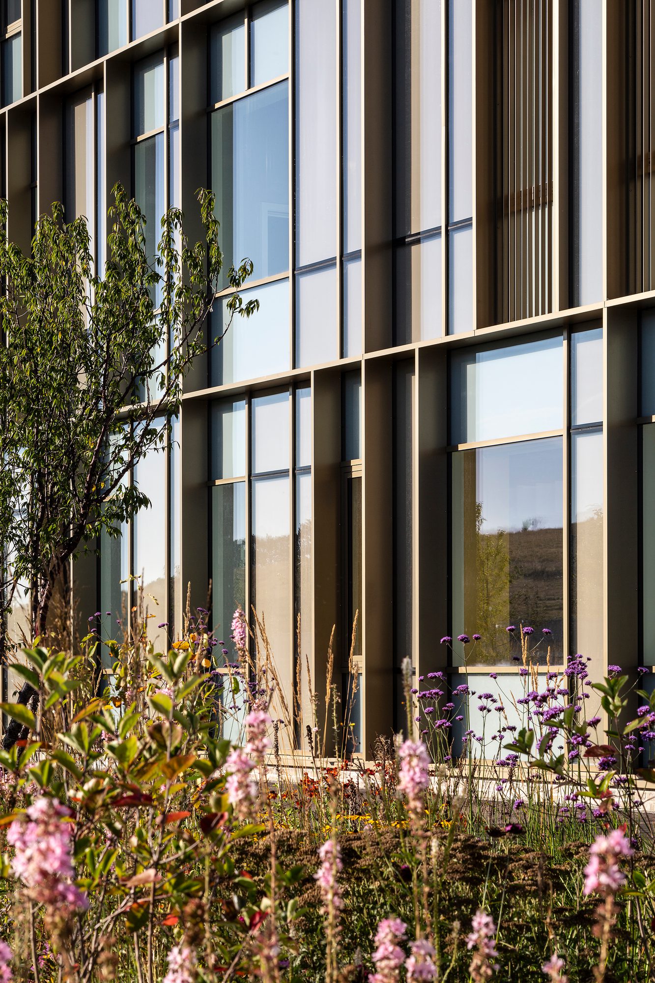 AHR School Woodmill and St Columba's RC High School Architecture 0253