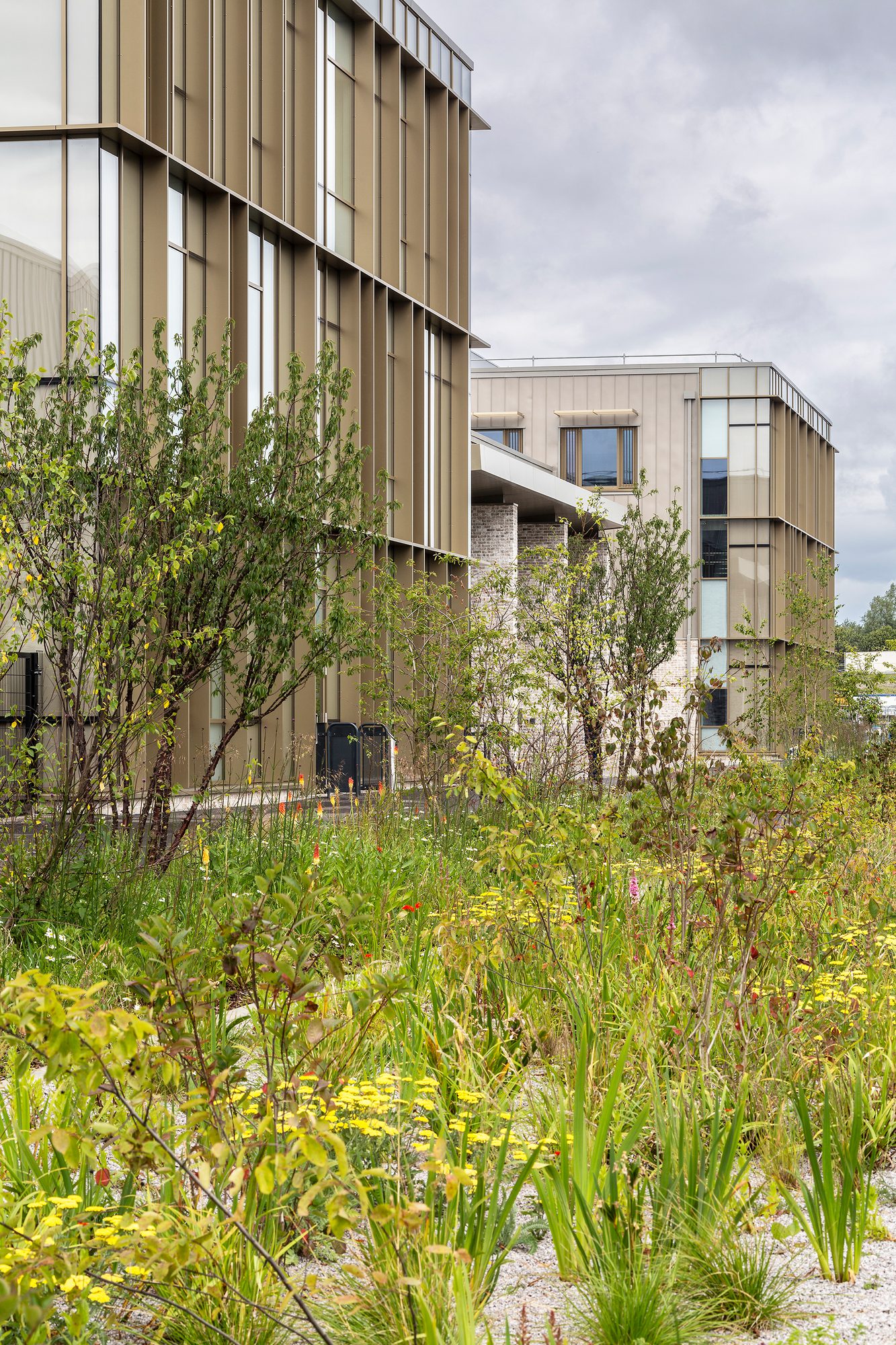 AHR School WoodmillStColumbas Architecture Dunfermline 0085