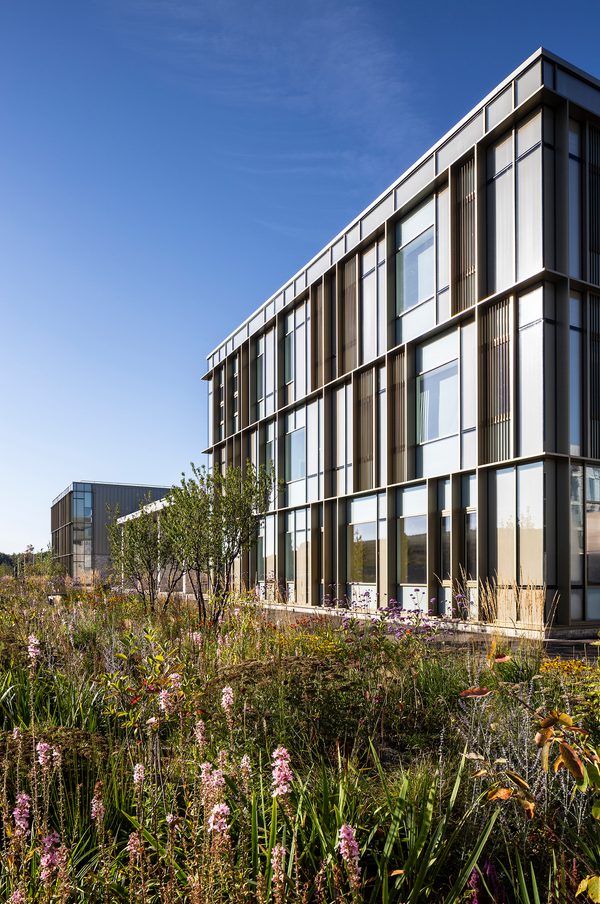 The communal landscaped exterior of the Woodmill and St Columba's RC High School, with biodiverse planting in the foreground.