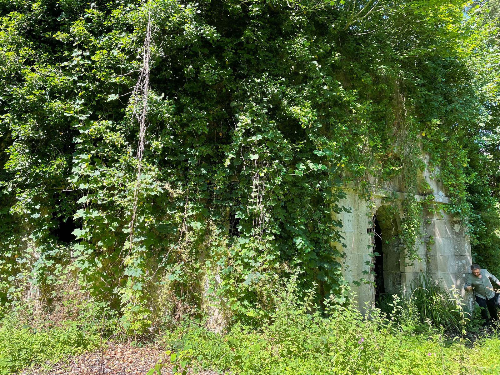 A wealth of greenry covers the stables 3000px