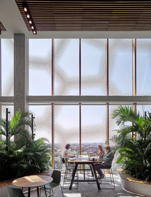 People working at a desk within The Spine, with biophilic planting either side of the desk and the distinctive Voronoi pattern is visible on the double height windows behind the desk.