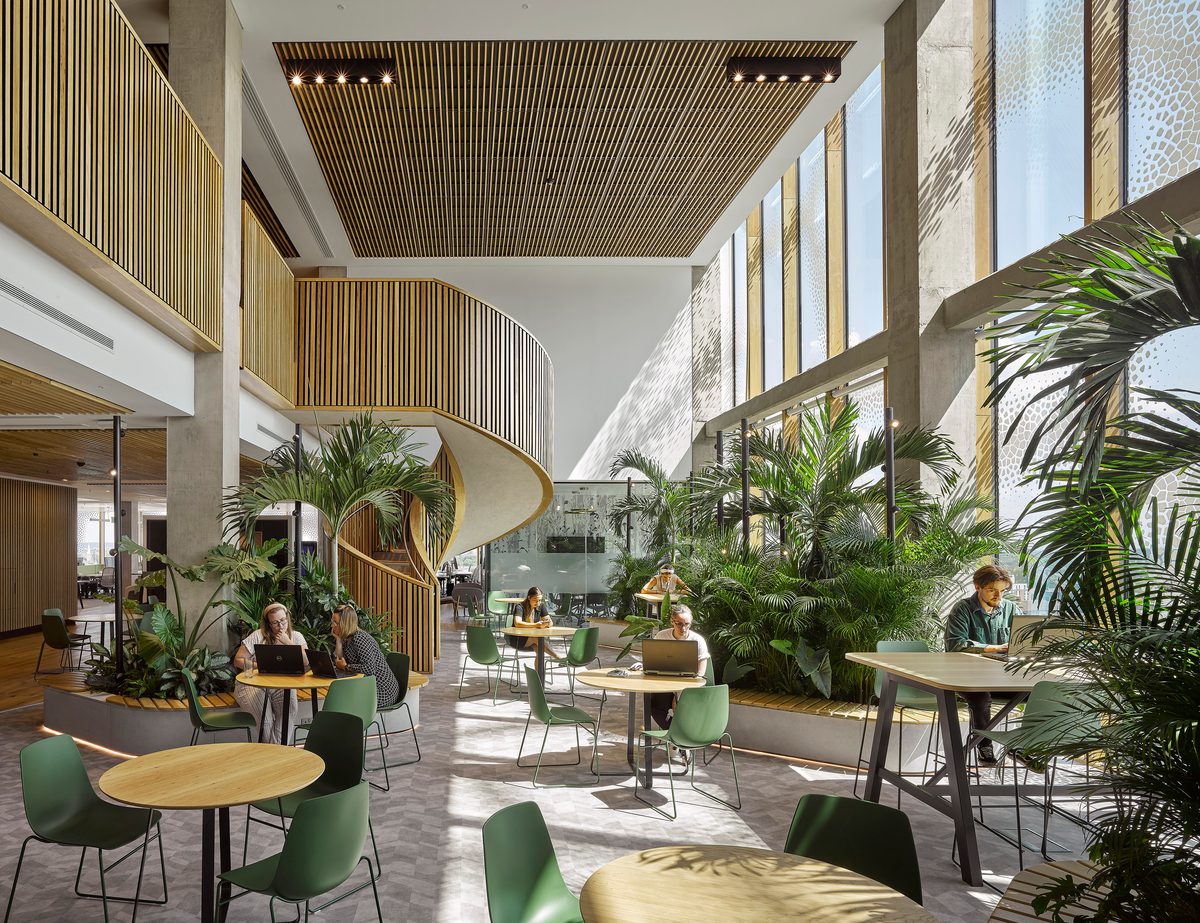 A bright shared double height working space in The Spine, with lots of natural dappled light, green planting, wooden cladding and helical stairs.