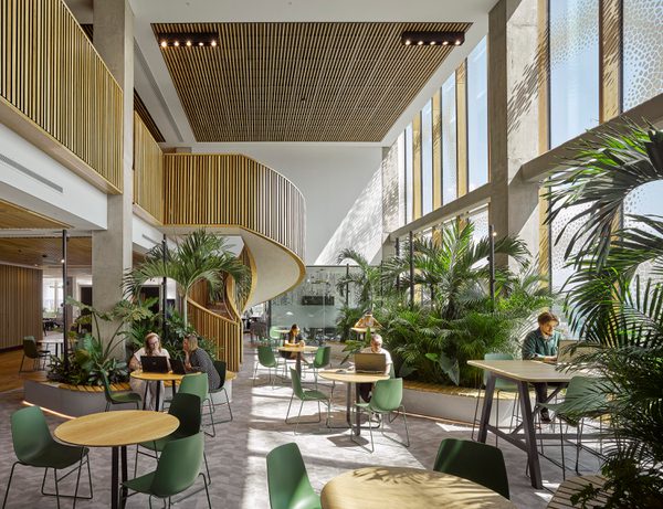 A bright shared double height working space in The Spine, with lots of natural dappled light, green planting, wooden cladding and helical stairs.
