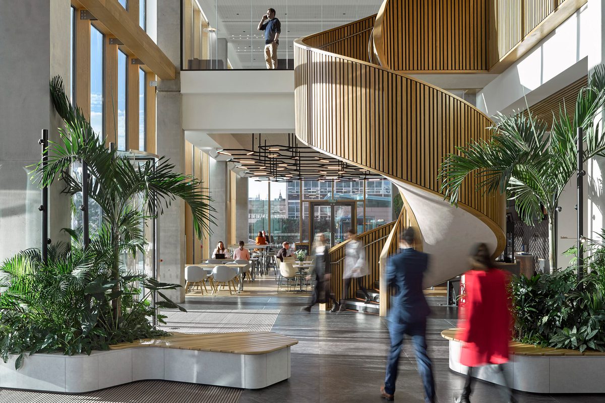 The large interior entrance to the Spine, with helical staircase, wooden cladding, double height windows, mezzanine level and high levels of planting.