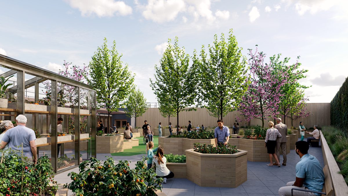 Visual of Thrive Health and Wellbeing Centre's roof garden with planting and people interacting in the space.