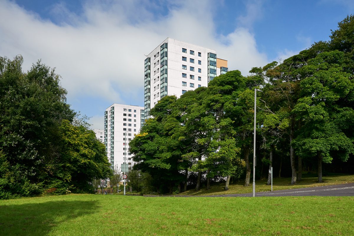Two high rise tower blocks in the distance from the view of a park with trees and greenery.
