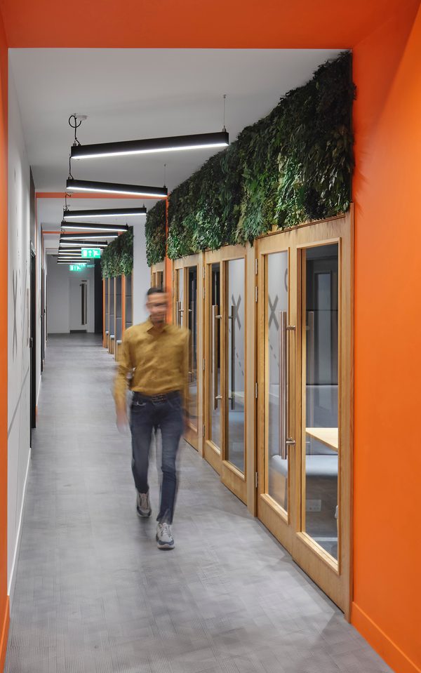 Corridor at University Academy 92 (UA92) with breakout pods, timber wall cladding, living wall and contemporary finishes.