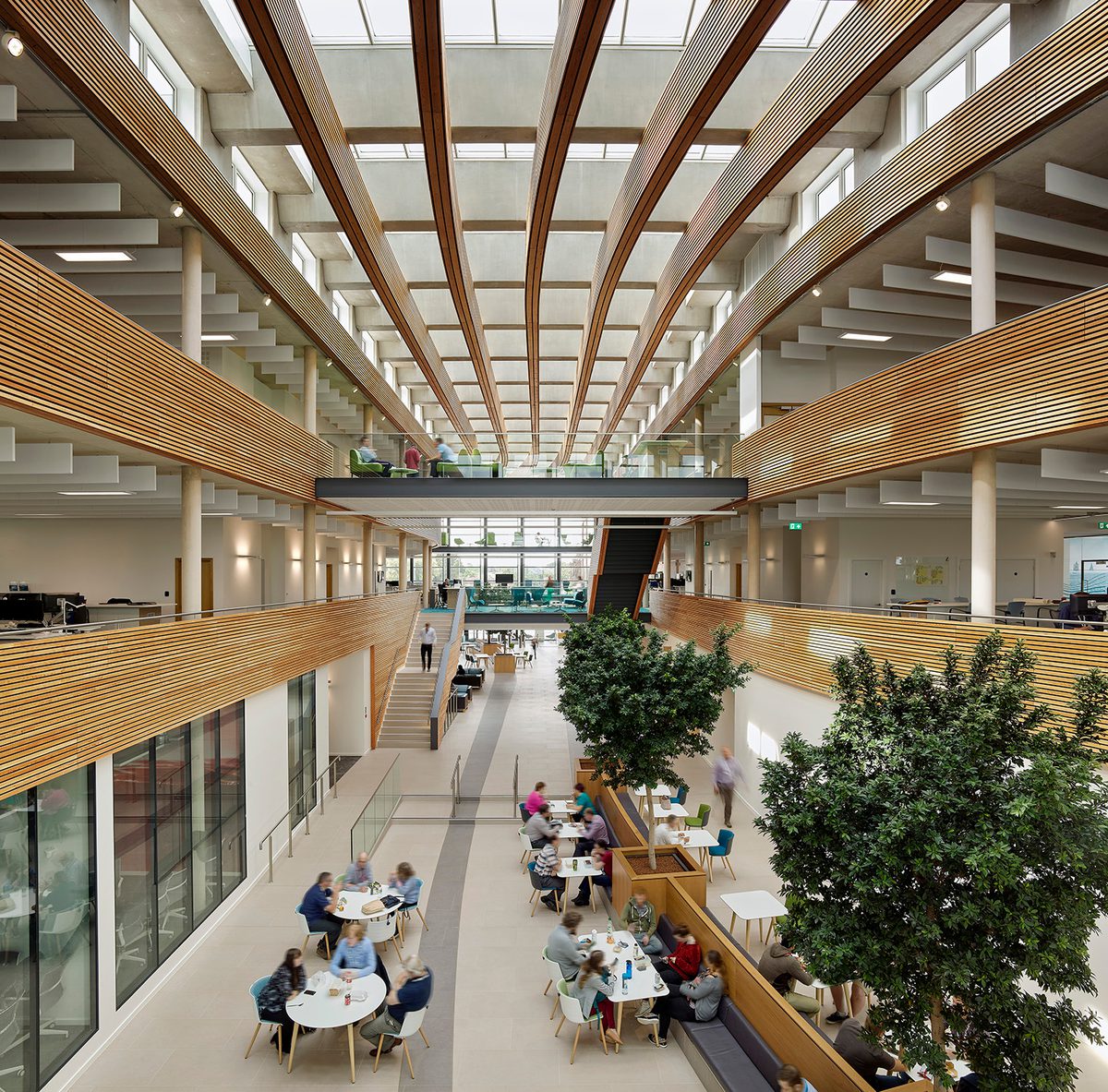 The bright large open atrium of the UK Hydrographic Office with a variety of workspaces, indoor biophilic planting, innovative wooden ceiling structure and glazed roof.